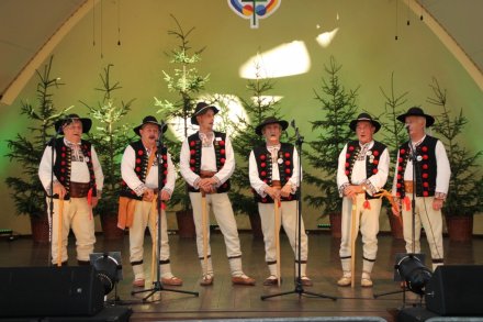 Występy w Amfiteatrze